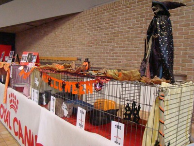 20121021_149 (Expo)